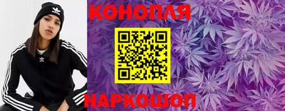 стаф Гусев