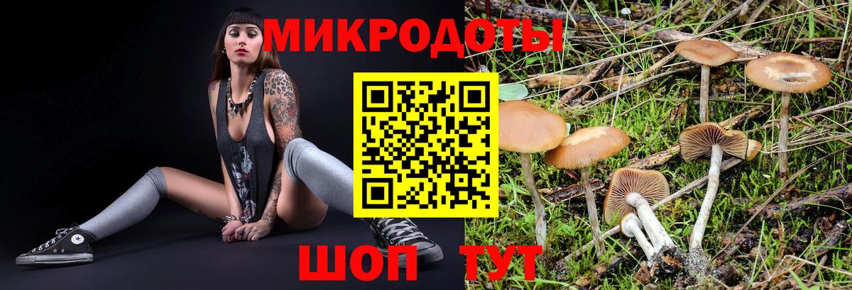 Галлюциногенные грибы ЛСД  Галлюциногенные грибы прущие грибы  Вход с VPN  Нурлат 